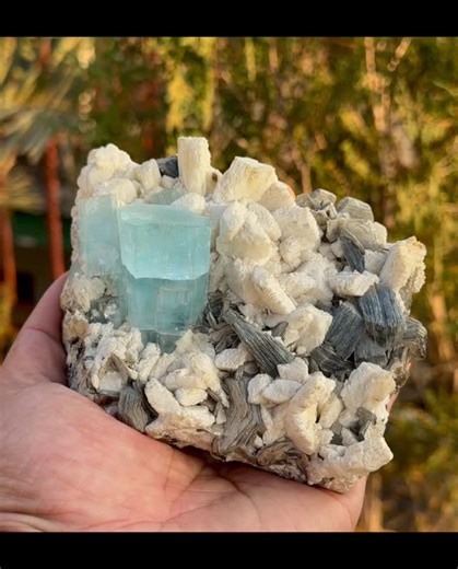 Muhammad Shakir on Instagram: "Aquamarine on Albite & Muscovite 800g | Nagar, Pakistan Cool ocean-blue Aquamarine rising perfectly from a crisp Albite matrix with silvery Muscovite accents ✨ Sharp structure. Clean aesthetics. Strong presence. A statement piece straight from the mountains of Nagar — bold, fresh, and collector-worthy. DM to own it. #Aquamarine #Albite #Muscovite #PakistanMinerals #MineralCollector"