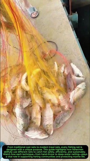 Essential Guide to Fishing Nets & Techniques 🎣