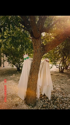 16 reactions | Spooky season is a big deal at Star Slerp & Wellness. Make an appointment and join the fun! #sleep #sleepbetter #Halloween #ghost #office | Star Sleep & Wellness | Facebook