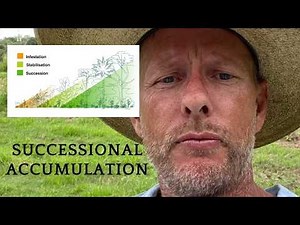 Scott Hall : The Secret to Syntropic Agroforestry Without Amendments