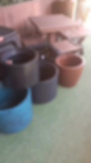 Ecosar_SCS no TikTok