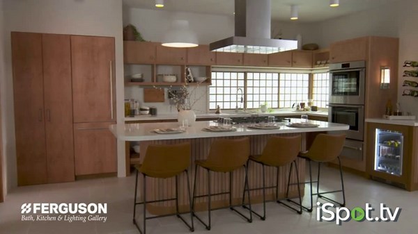 Ferguson TV Spot, 'Local Showroom: Pfister'