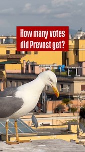 2.3K reactions · 215 comments | Ran into this celeb today. Trying to get some secrets out of him. @pontifex | The Catholic Traveler | Facebook