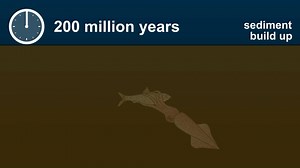 19 reactions | From massive dinosaurs to microscopic organisms, identification to international hoaxes, Dr Jodie Fisher helps us demystify the science behind fossils. Read here  https://www.plymouth.ac.uk/courses/undergraduate/bsc-geology-2/demystifying-the-world-of-fossils | University of Plymouth | Facebook