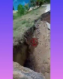 ARIMA | Look The Brightstar Trinidad &Tobago