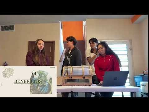 🌿 Presentamos Nuestro "Invernadero Inteligente" | Prototipo y Explicación del Proyecto 