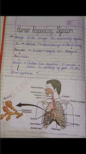 Hand written notes | Life Process class 10th | #notes ‪@LearningMembers‬