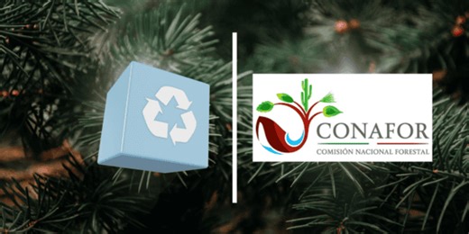 Dónde llevar tu árbol de Navidad en Jalisco para reciclarlo: Centros de acopio y horarios