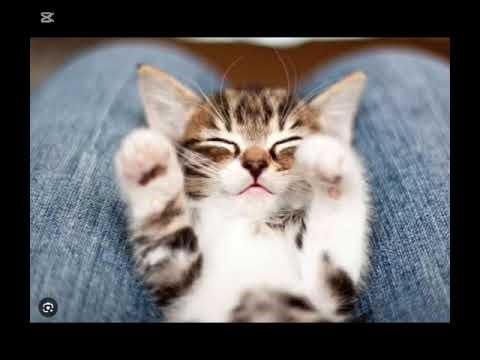 my friend made this edit and broke my nerves to upload it