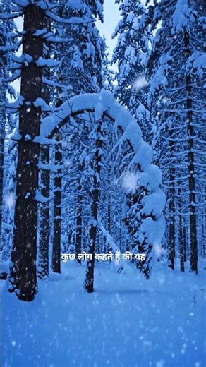 400 Ped Ek Hi Direction Mein Kyun Jhuke? 😳 | Crooked Forest #shorts