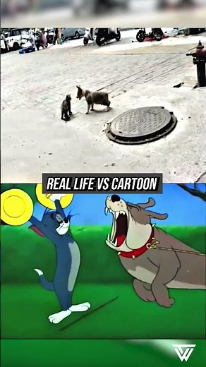 Real Life vs Cartoon: Tom & Jerry 😂🐱🐶 #TomAndJerry #Spike #Shorts