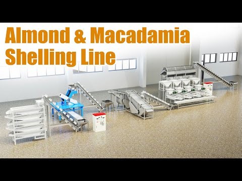 Fully Automatic Almond & Macadamia Shelling Line – 3D Production Line Demo Contact：+8617703863868