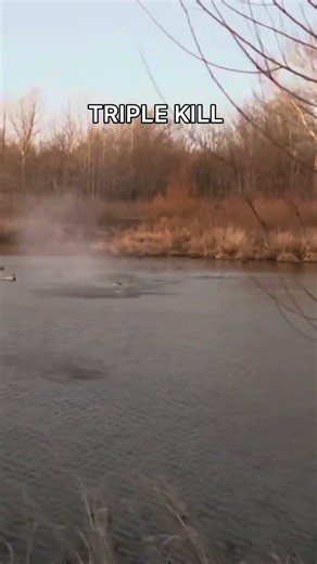 TRIPLE DUCK KILL #duckhunt #hunting #duckhunters #duckhunting #waterfowlhunting #night #rock #duck