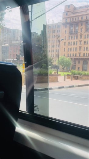 Fashion Braces Adventure with ZULU