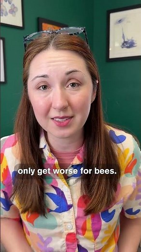 Saving Bees with Pesticides