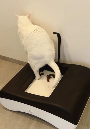 PetyPot is a revolutionary, litter-free, self-cleaning cat toilet that combines convenience with advanced technology. With its auto pad replacement technology, PetyPot ensures a hygienic, low-maintenance experience for both you and your feline friend. No more dealing with messy litter—just a clean, fresh environment every time, with ZERO effort on your part. 💆‍♀️ #automaticcatlitterbox #selfcleaninglitterbox #nomorescooping #catcare #catcaretips