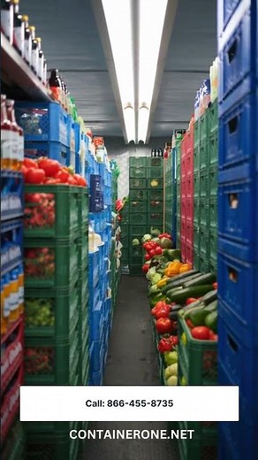 Refrigerated Shipping Containers: 20ft vs 40ft | Which Size Do You Need?