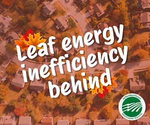 Leaf energy inefficiency behind! Here are some low-cost, high-impact tips you autumn know to weatherize your home this fall:  Seal cracks in your home with caulk.  Place foam gaskets behind switch plates and outlet covers.  Cover vents with vinyl.  Replace worn weatherstripping.  Use draft stoppers on outside doors. Learn more about home weatherization: https://www.energy.gov/energysaver/weatherization. via ENERGY STAR | Intercounty Electric Cooperative Association | Facebook