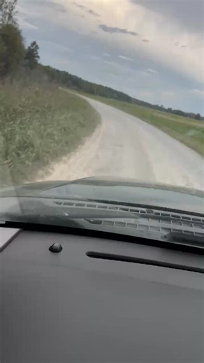 Dustin Lee Cornelius on Reels