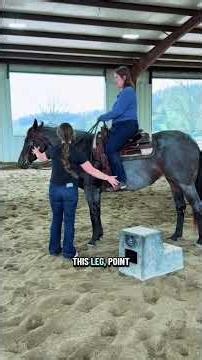 Ethel and Stephanie give Lindsey a riding lesson! 🐴🤠 part 1#Horsebackriding #equestrian #horsegirl