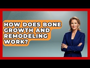 How Does Bone Growth And Remodeling Work? - All About Anatomy Answers