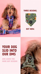 You asked for more boy designs… and we understood the assignment. Meet the Boys Collection - featuring Hot Chilli, Gone Fishing, and Green Plaid. Because good boys deserve great gear. Now live. | Pablo & Co. Boutique