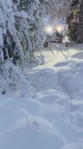 349K views · 1.4K reactions | How Do Snow Plows Operate in Deep Snow? | MiloPax | Facebook