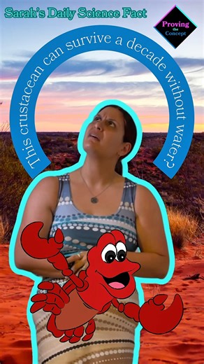 This crustacean can survive a decade without water?