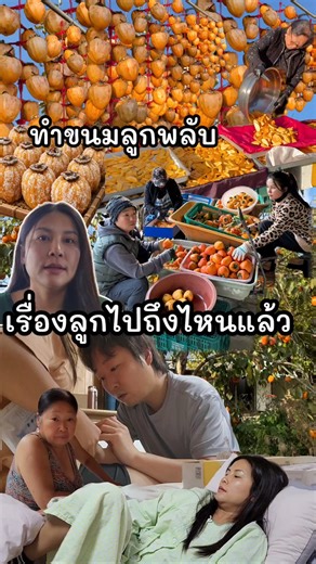 ซอสะใภ้เกาหลี bykorea on Instagram: "โดนถามตลอด จนสุดท้ายได้ออกมาทำคลิปตอบจนได้ อัพเดตกันหน่อย ทำขนมลูกพลับเยอะมาก #ขนมลูกพลับ #ลูกพลับตากแห้ง #ซอมีลูกหรือยัง #ซอสะใภ้เกาหลี"