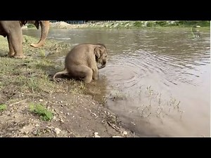 Happy time for the happiest baby ❤️🥰- EleFlix