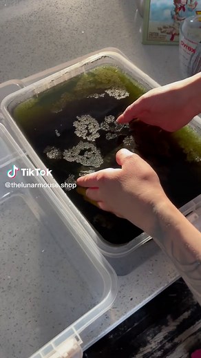 I cant wait to work more on this crystallized book! ✨🥹 #crystalbook #crystallized #boraxbook #experiement #sciencemeetsart #yycart #yycartist #crystalbook #crystaltok #crystalshop #boraxcrystals #boraxcrystal