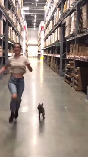 The Reign Cast✨ #reign #reignedit #reignsforever #frary #adelaidekane #tobyregbo #torrancecoombs #rachelskarsten #reigncast #marystuart