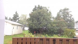 Earl brings a steady downpour to parts of Newfoundland - The Weather Network