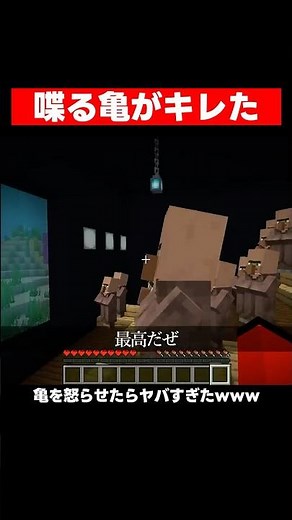 A turtle that solves villagers' problems. #Minecraft