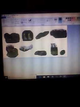 Tiger Penguin Snake Elephant Flamingo Butterfly Tortoise Giraffe Frog