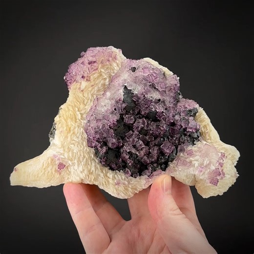 Fluorite on Sphalerite on Baryte - Elmwood Mine, Carthage, Smith Co., Tennessee, USA More info: https://www.irocks.com/minerals/specimen/51927 The famous Elmwood Mine in Tennessee is famous for producing some of the most recognizable fluorite specimens from any US locality. The classic purple cubes are a favorite among collectors, and it's easy to see why. This piece is not your typical Elmwood fluorite, we typically see larger isolated cubes or groups of larger cubes on matrix, but this unique 