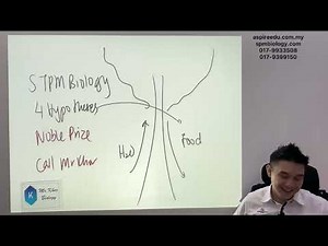 SPM Biology Form 5 Chapter 2: Mechanism of Opening and Closing of Stoma | spmbiology.com