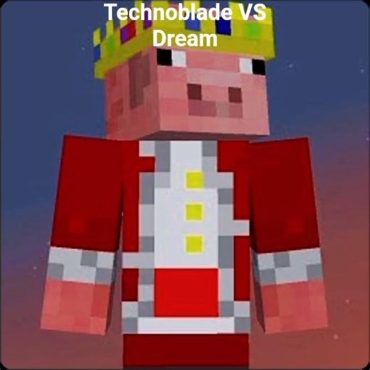 technoblade vs dream 🫡🫡🤫🤫💯💯😲😲🤔🤔
