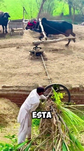 This seems useless… but it does all the work😱#shorts