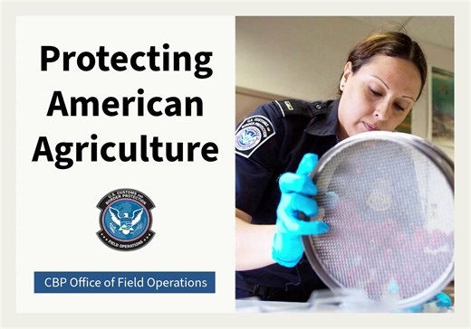 4.6K views · 48 reactions | Beyond a rewarding mission, a career with OFO offers robust federal benefits, including a competitive salary, comprehensive health and life insurance, a generous retirement plan, and opportunities for tuition assistance. We invest in our people. https://go.dhs.gov/Jab #OFOProudus | CBP Office of Field Operations | Facebook