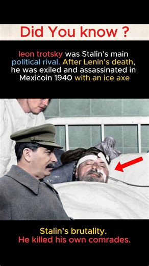 Stalin Killed His Own Comrade, Leon Trotsky #ww2#history #shorts