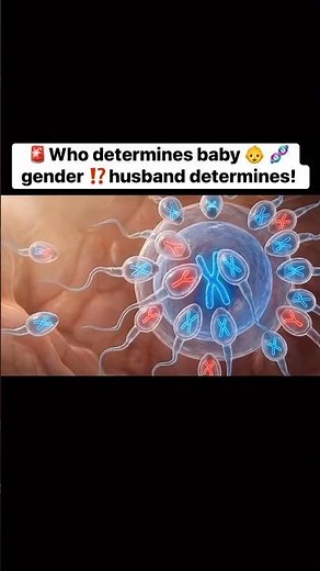 Who Really Determines a Baby’s Gender? The Science Explained