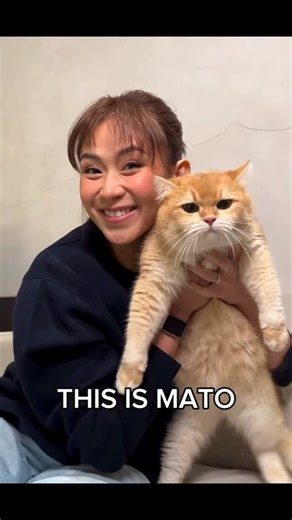 Hello guys! Meet Mato and Kaia 😍🐈 #SarahGeronimo #Goodest #ctto 🎥 | Sarah Geronimo My Number One