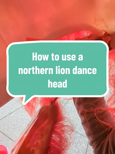 How to Use a Northern Lion Dance Head | Learn Chinese Culture