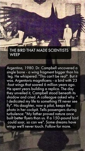 The Bird That Made Scientists Weep