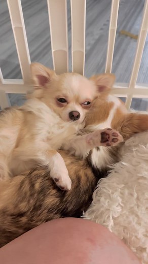 Sundays 🤍@Jameline & Barley