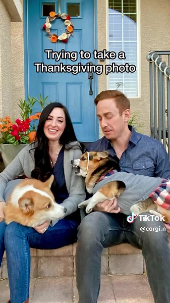 Corgi Family Moments: Capturing Thanksgiving Joy