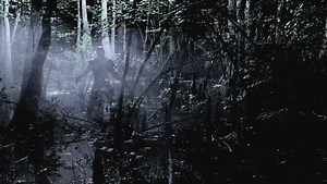 Creature- Trailer (VO)