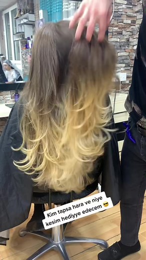 Ombre Hair Coloring Techniques at the Salon