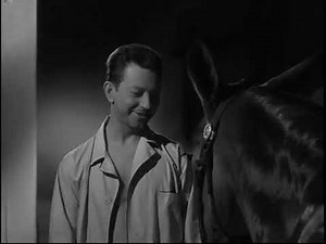 Francis Joins the WACS - 1954 - Donald O'Connor, Molly as Francis the talking Mule & Chill Wills